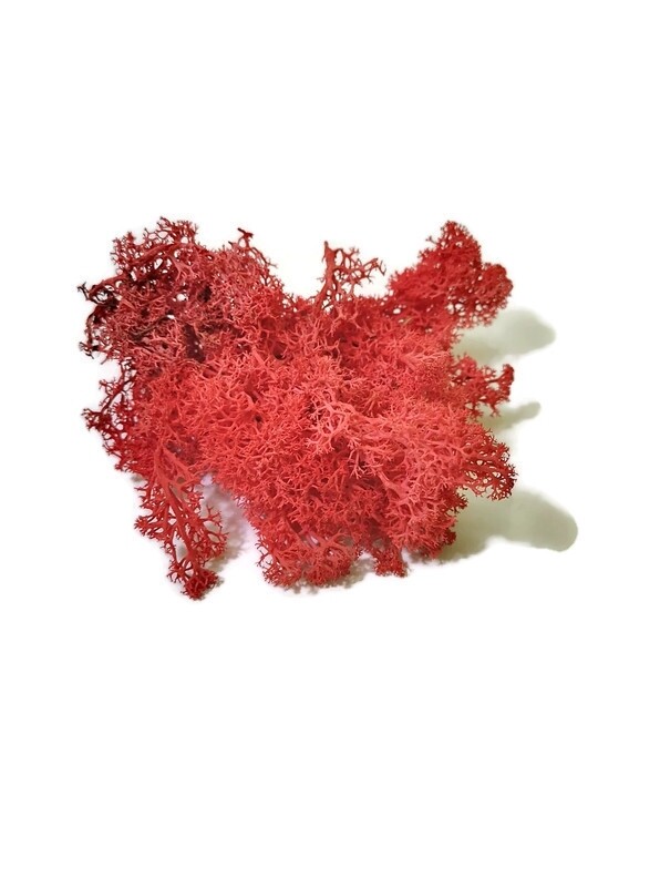 Raindeer moss - red 100G