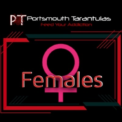 Females