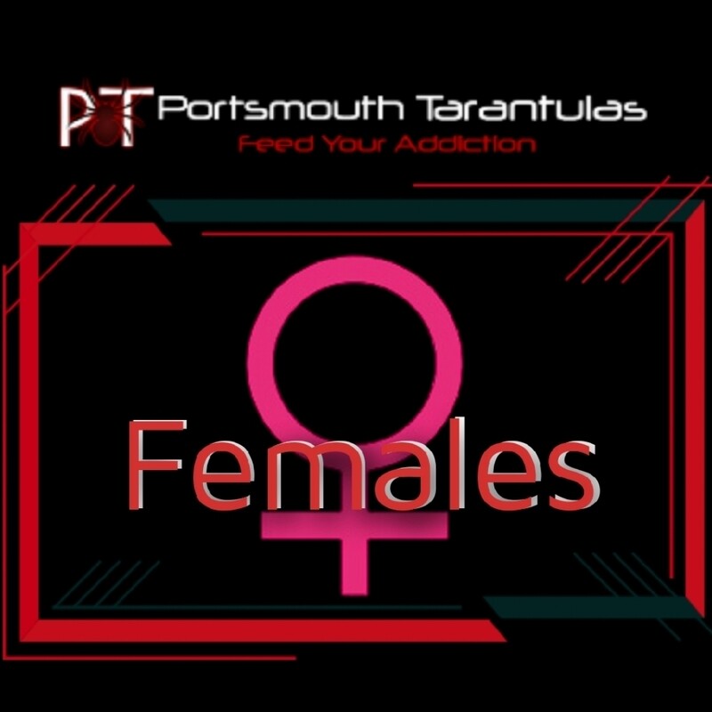 Females
