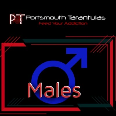 Males
