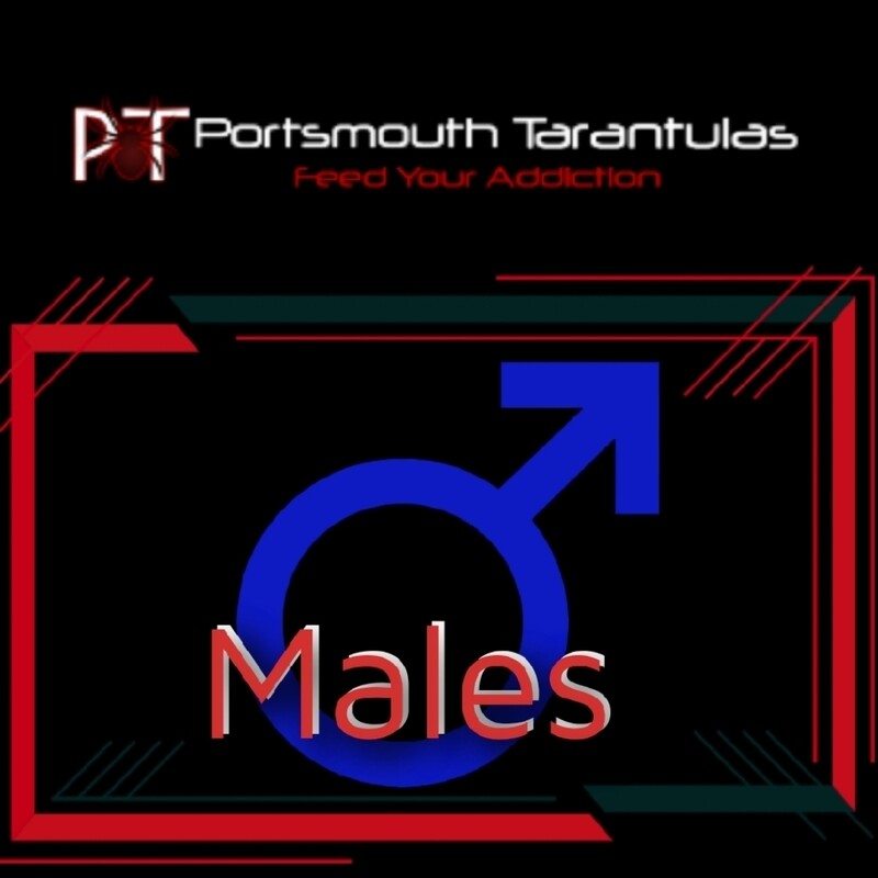 Males