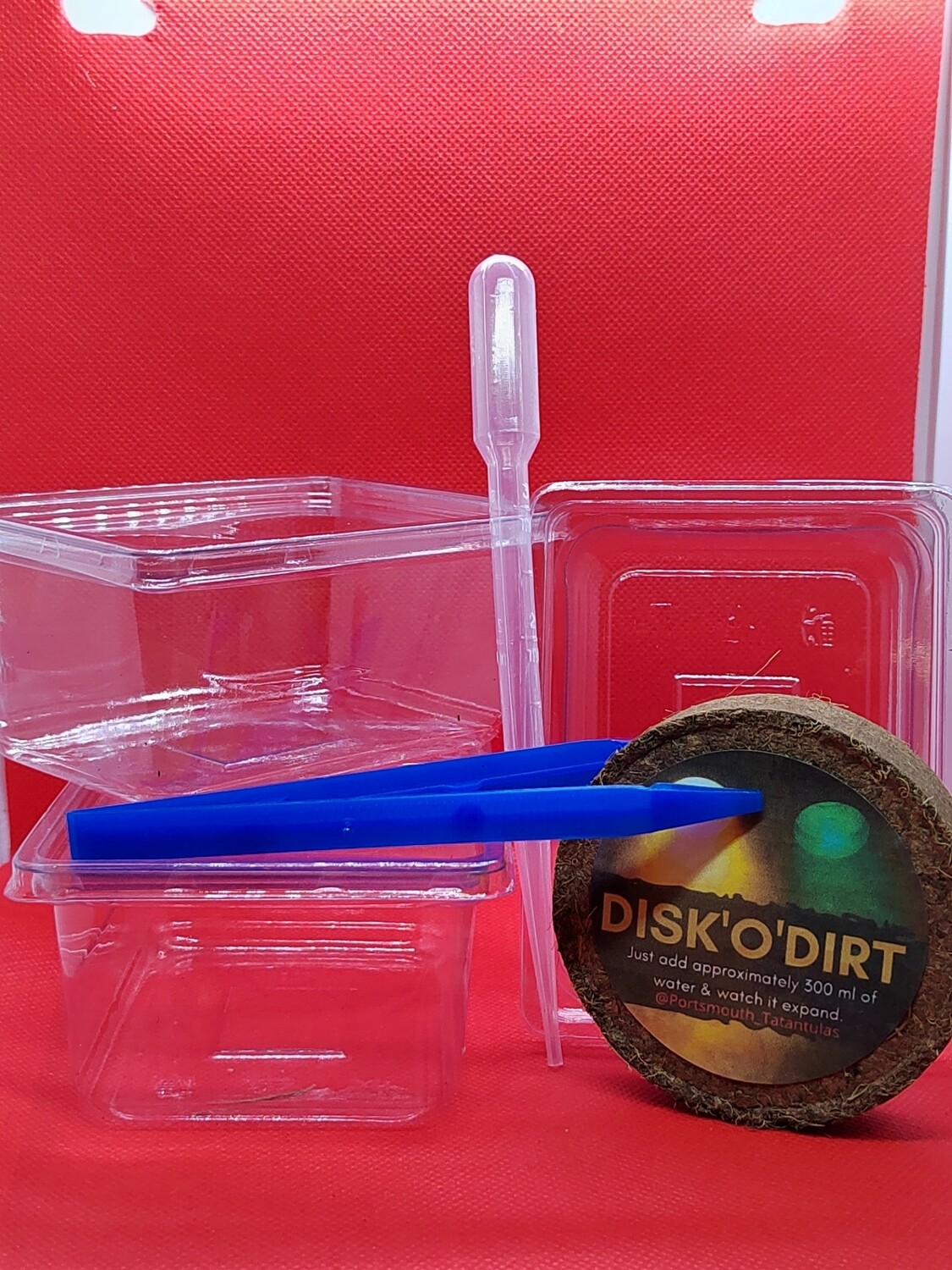 Spiderling terrestrial starter kit x3