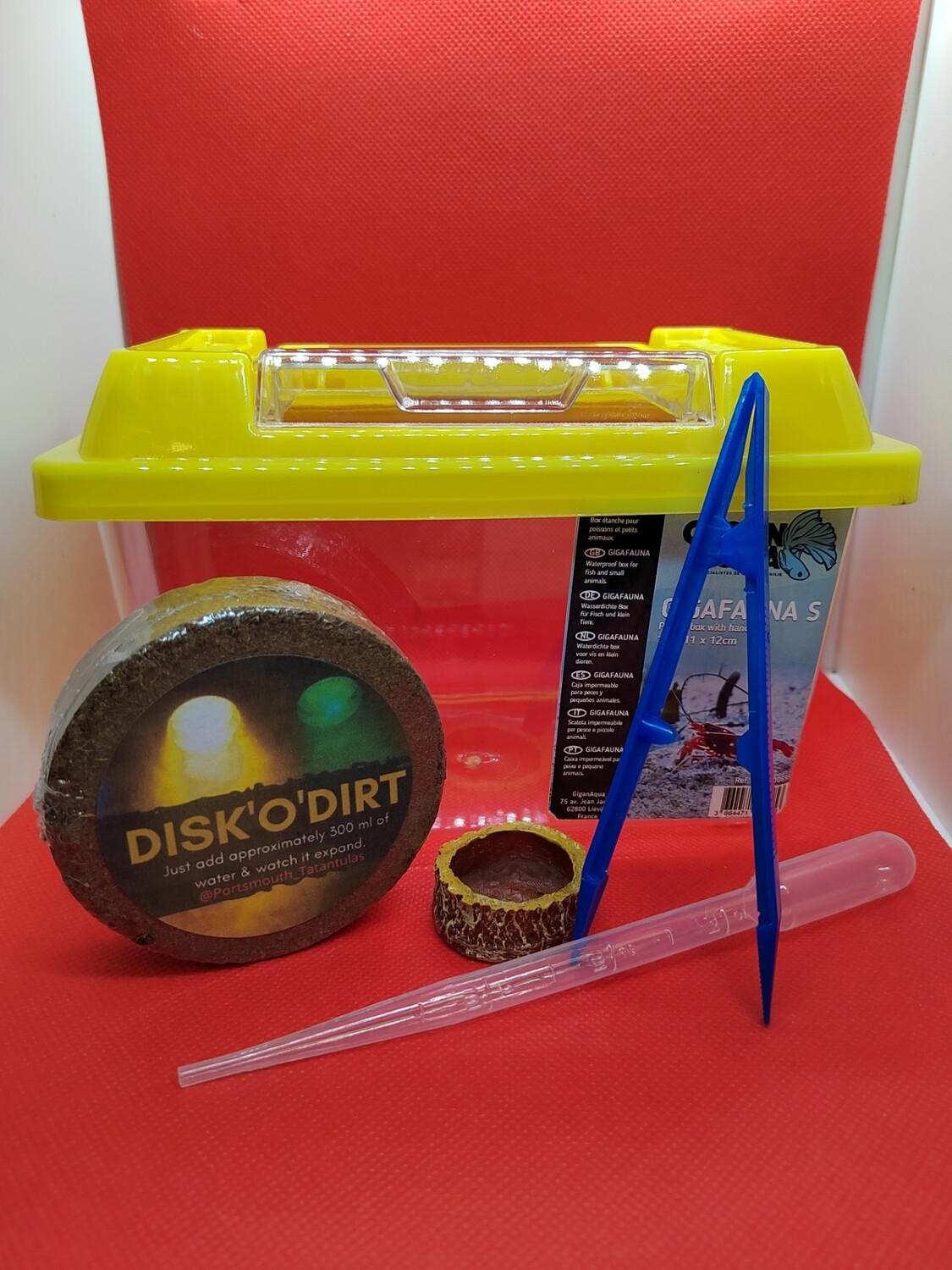 Mini plastic terrarium with yellow lid