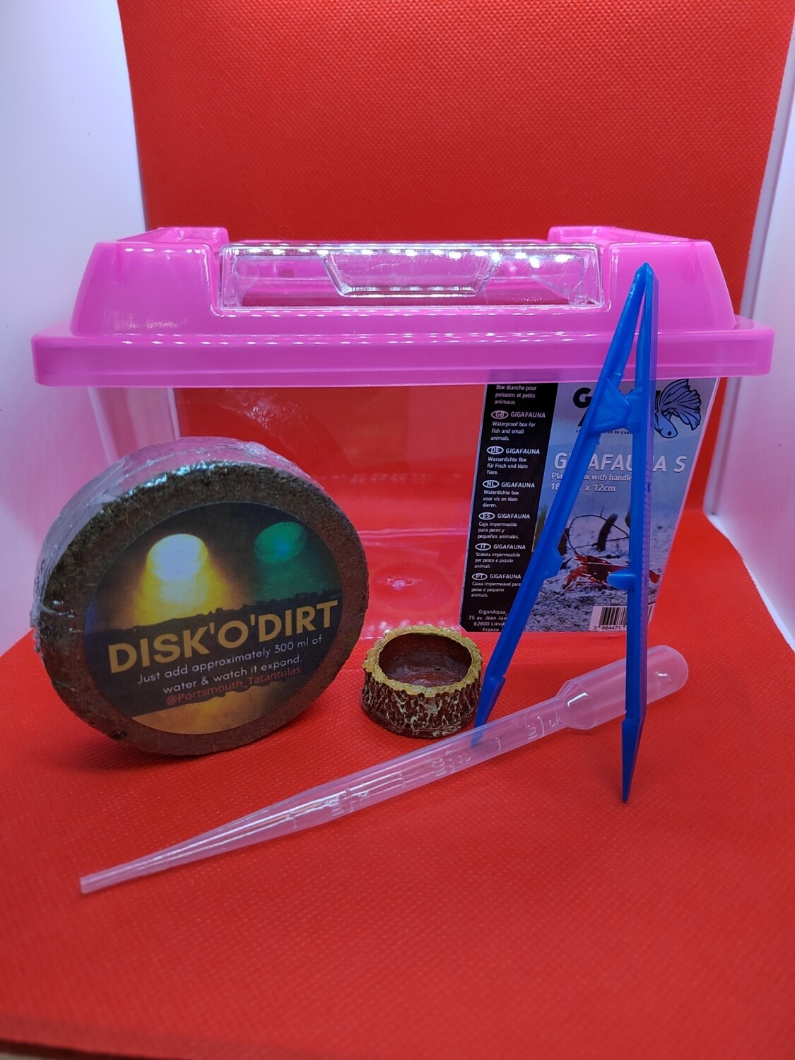 Mini plastic terrarium with pink lid