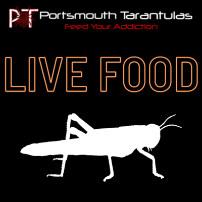 Locust