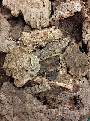 Cork bark 100G