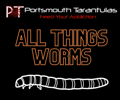 All things worms!