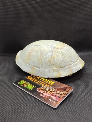 Tortoise shell