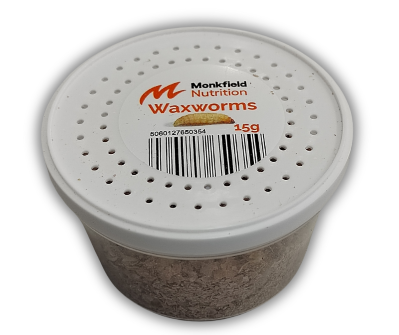 Wax worms