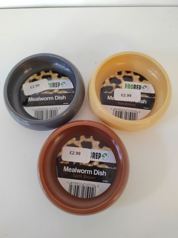 Pro rep Meal worm dish - Assorted colours