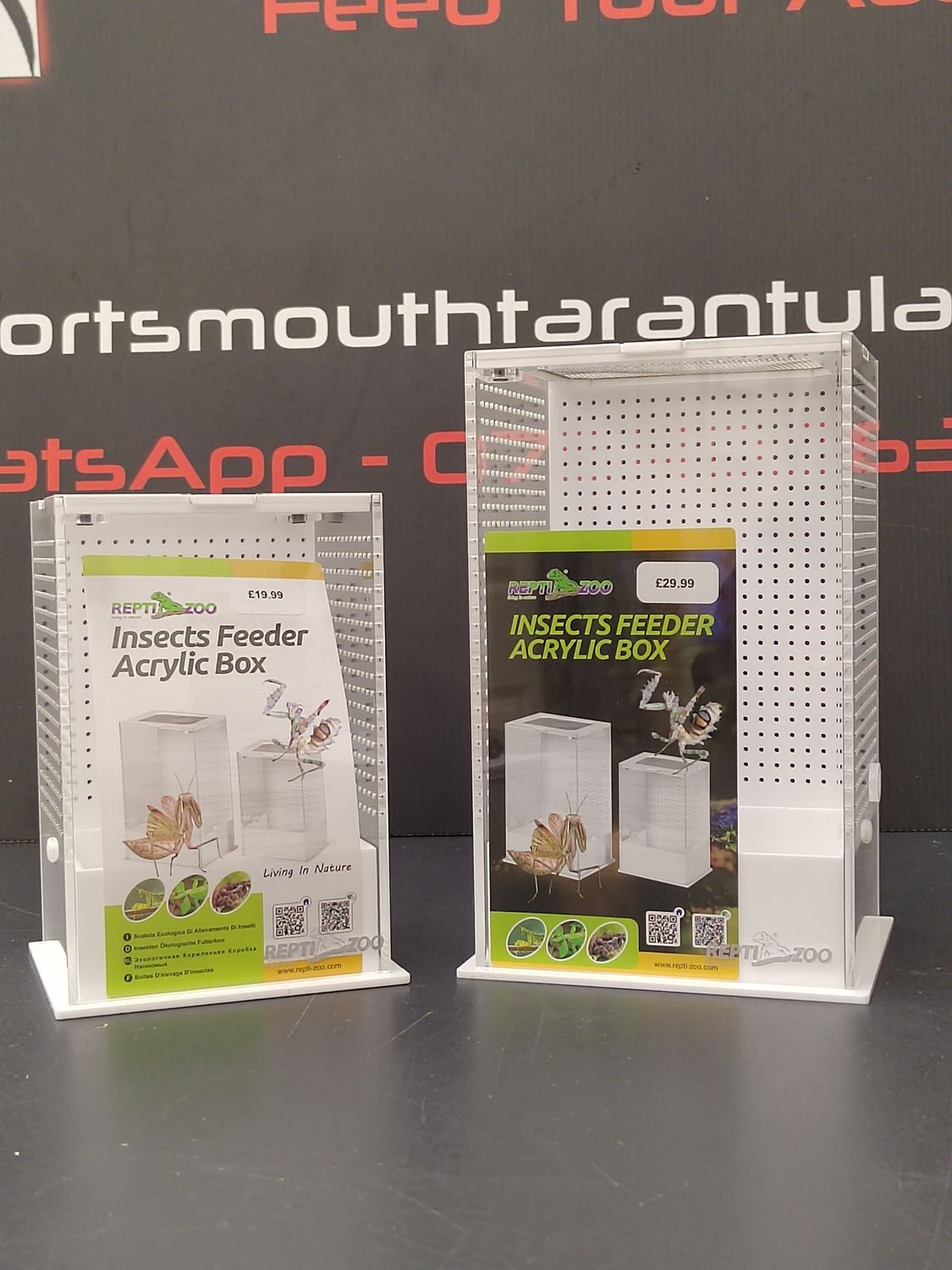 ReptiZoo Acrylic Box With Mesh Lid (Small)