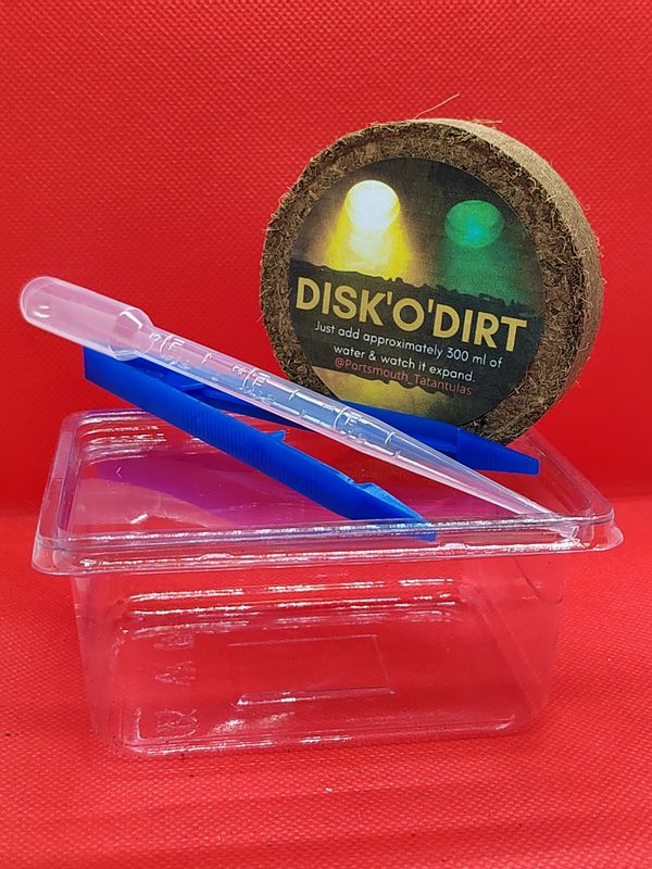 Spiderling terrestrial starter kit