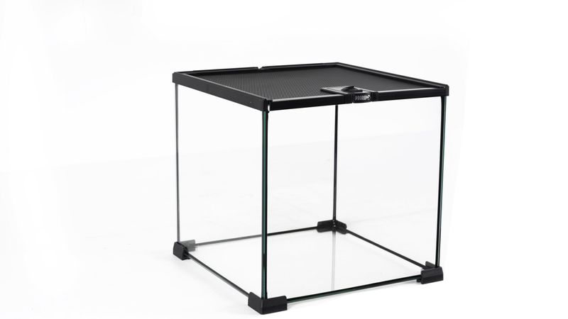 Pro Rep mini Terrarium 31x31x30cm (Glass)