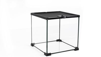 Pro Rep mini Terrarium 31x31x30cm (Glass)