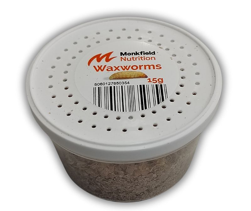 Wax worms