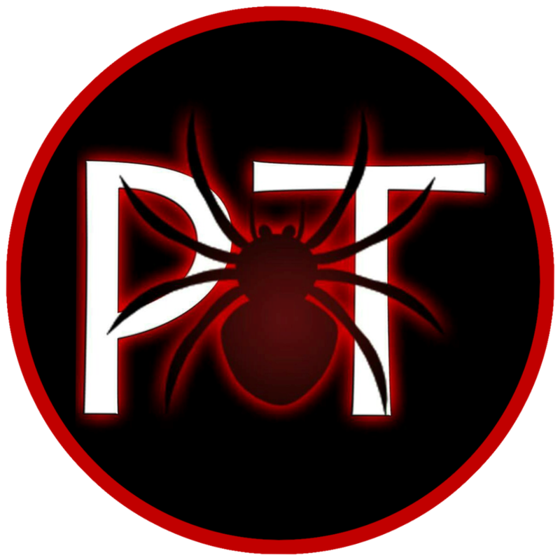 Chilobrachys sp "Prochuap Khiri Khan" - PKK Earth Tiger (1-2cm)