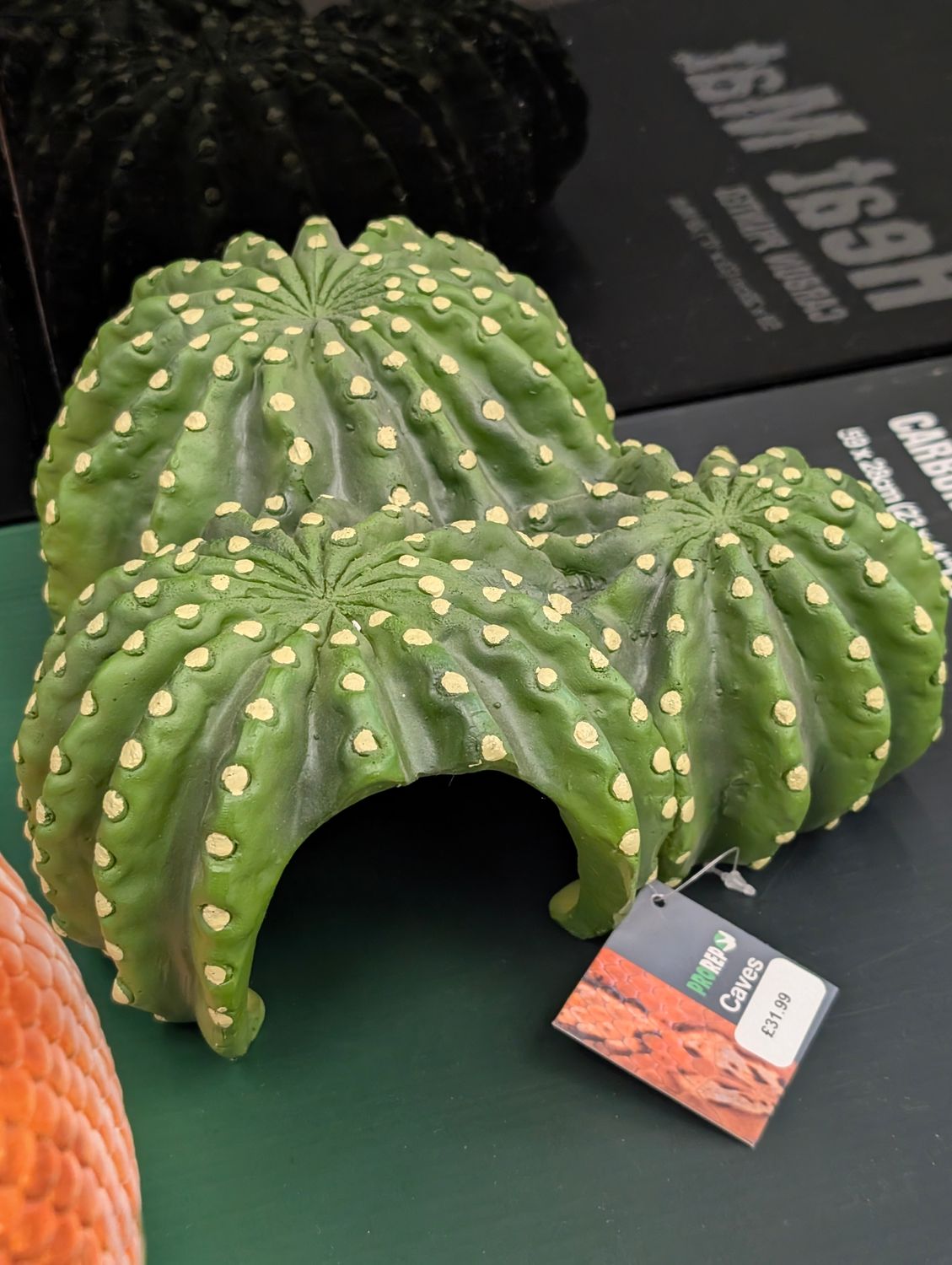 Cactus Cave - Large 20x18x11cm (ISH)