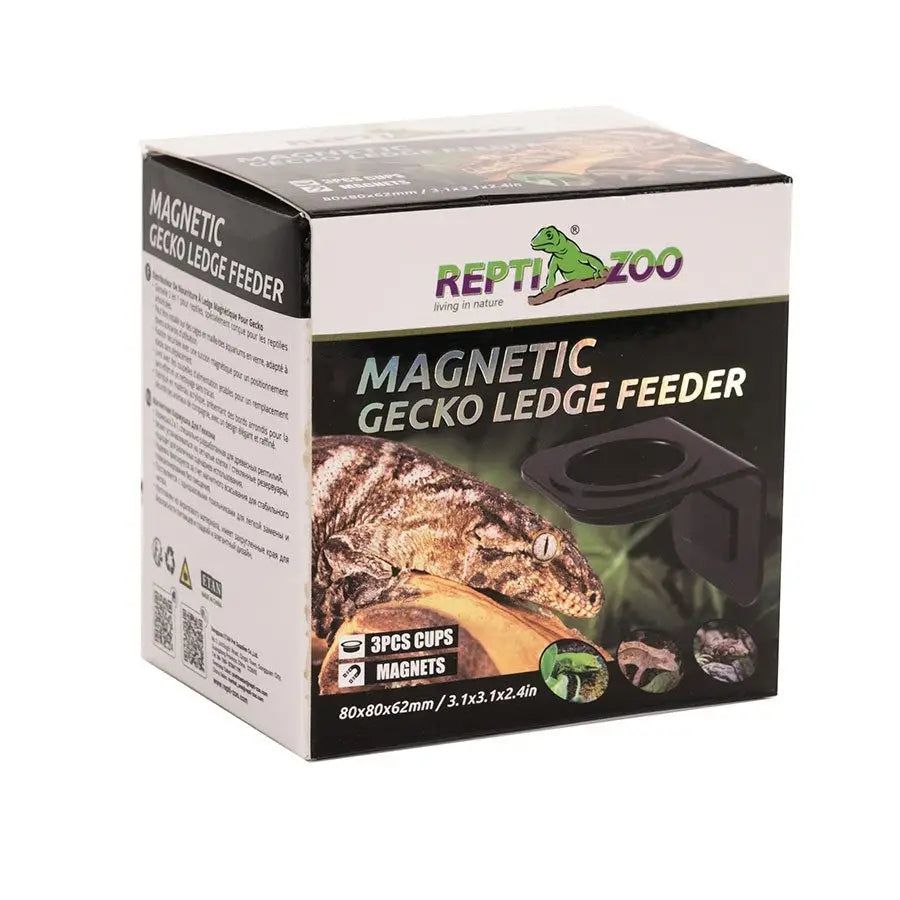 Magnetic Gecko Ledge Feeder - Reptizoo