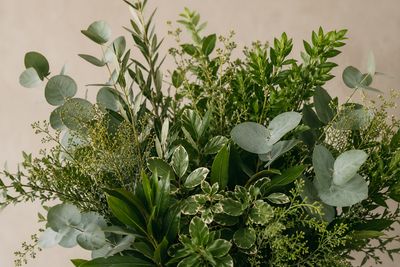 Greens