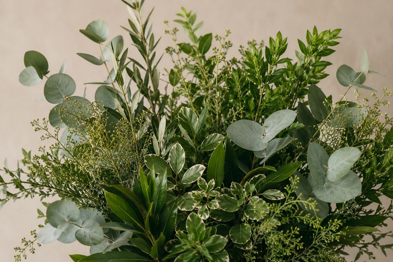 Greens
