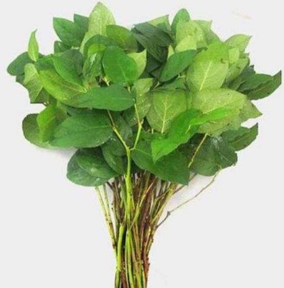Lemon leaf