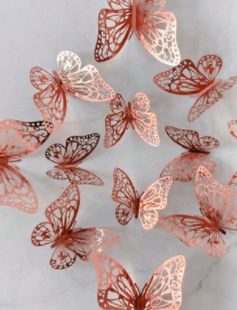 Butterfly Packs