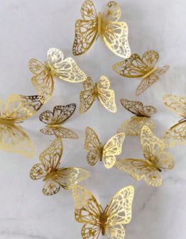 Butterfly Packs