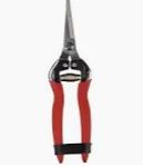 Cutters, Color: Red