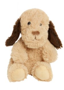 Brown Dog