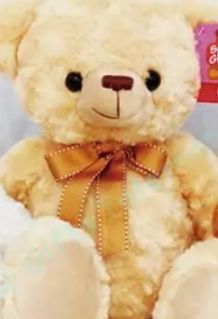 bear 12''