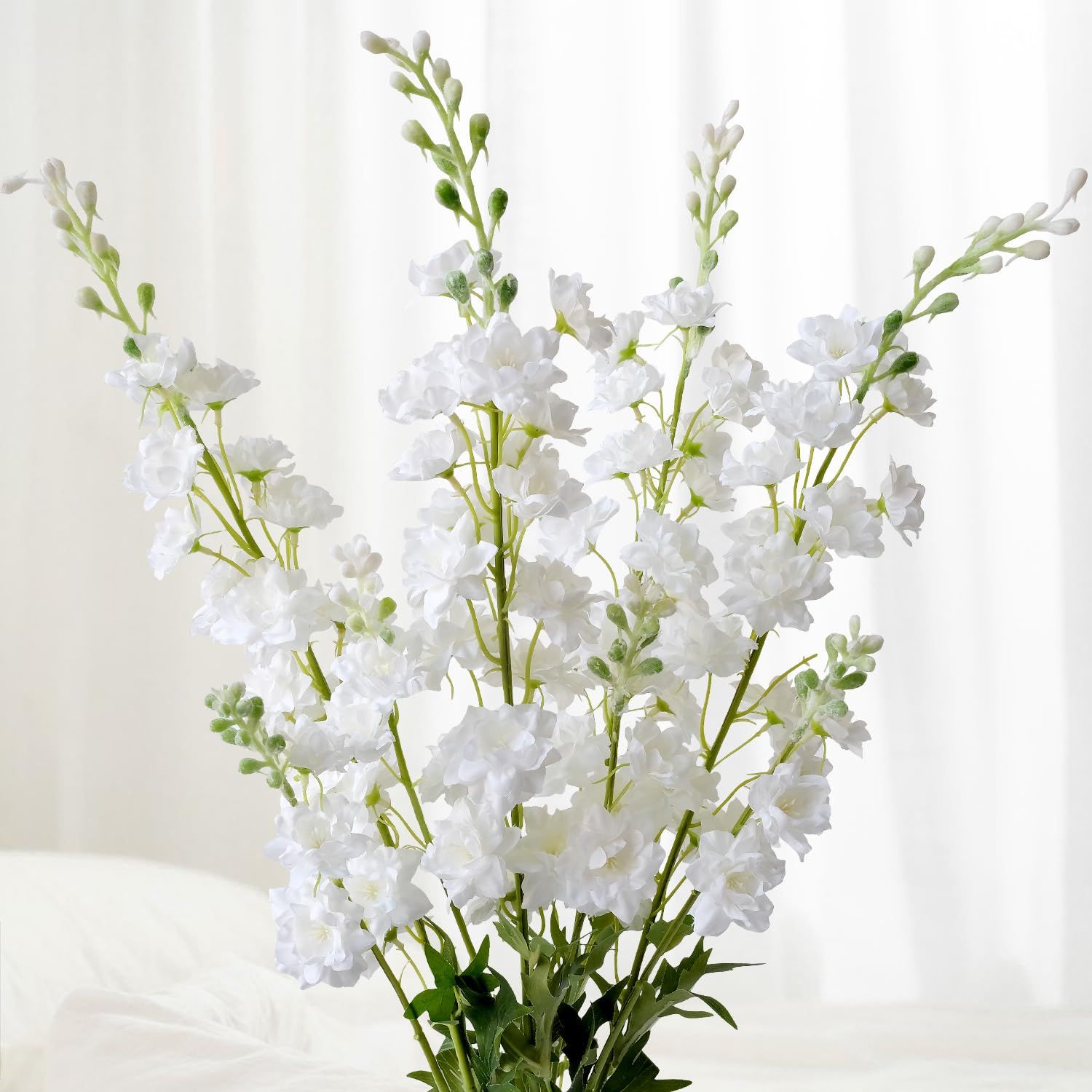 Delphinuim, Colors: White