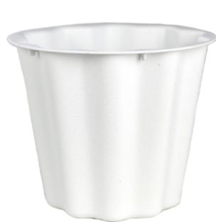 white floral container, Sizes: small
