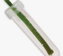 Water tube