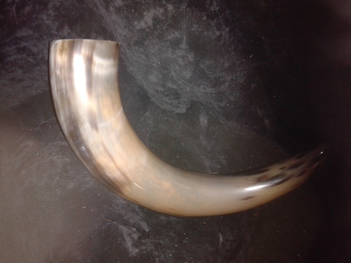 Viking Drinking Horn