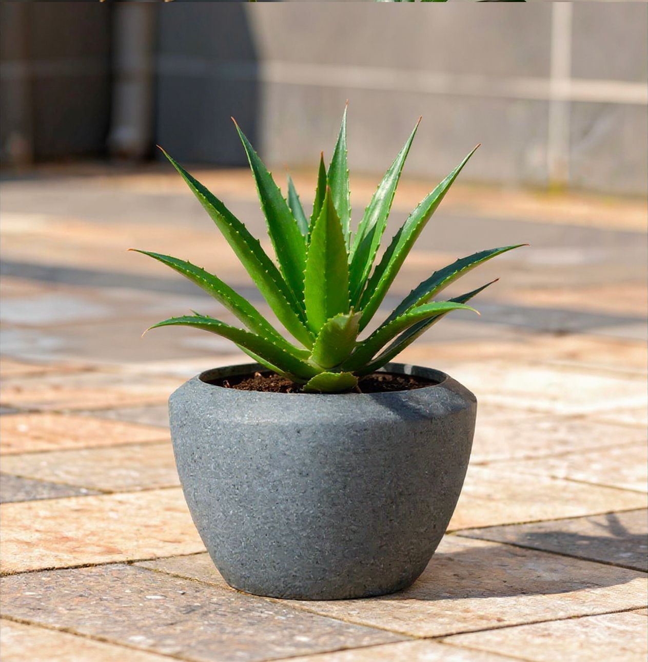 Terrazo Fiber Clay Pot - Grey