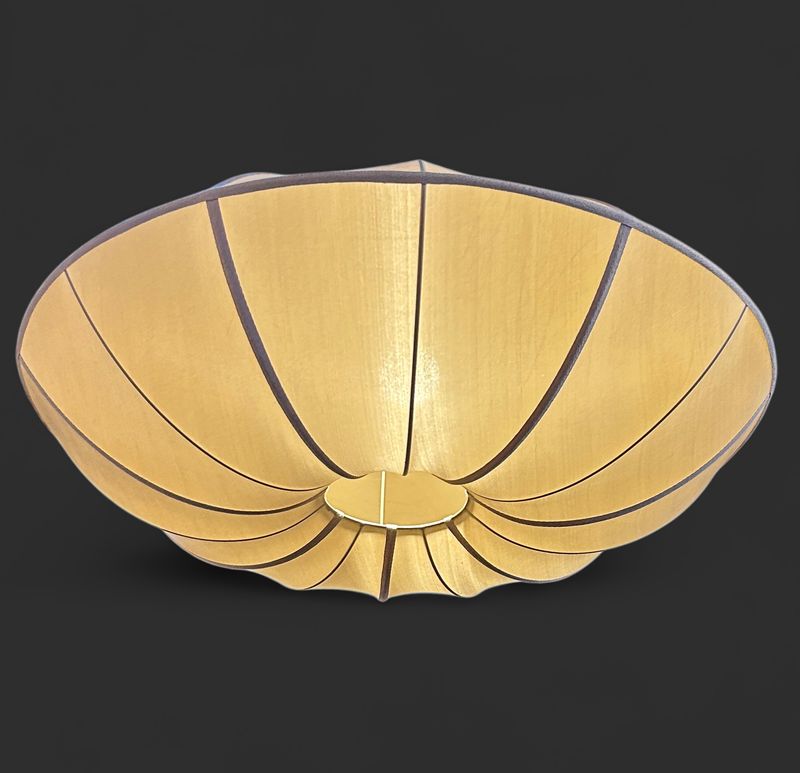 Beautiful Swedish Pendant Light- UFO - OSO