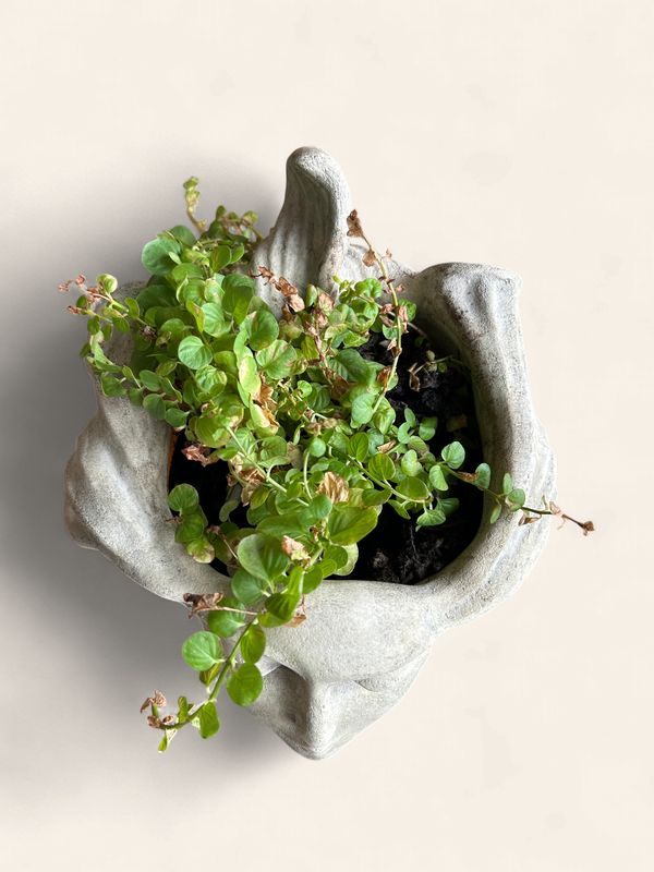 K14 - Christine Sibley 6" tall faces planter