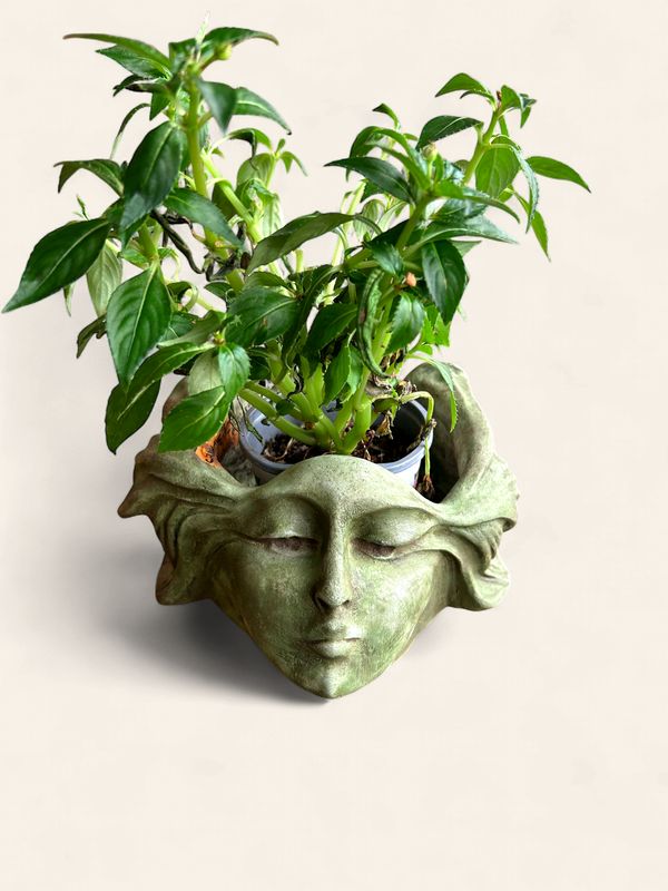 K14 - Christine Sibley 6" tall faces planter