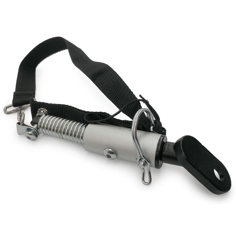 Pet Trailer Hitch