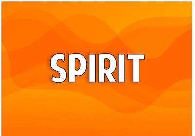 School Spirit &amp; Corporate Colors