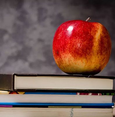 School Related -  High School / College