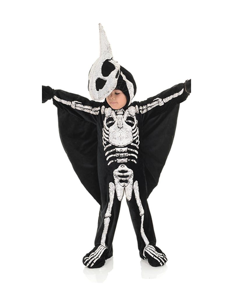 Pteradactyl Fossil Costume - Toddler