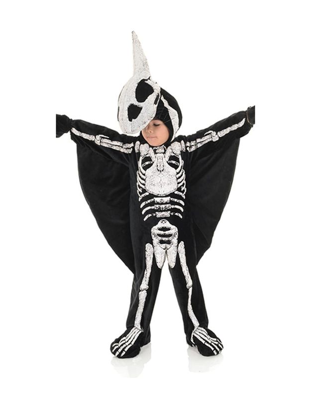 Pteradactyl Fossil Costume - Toddler