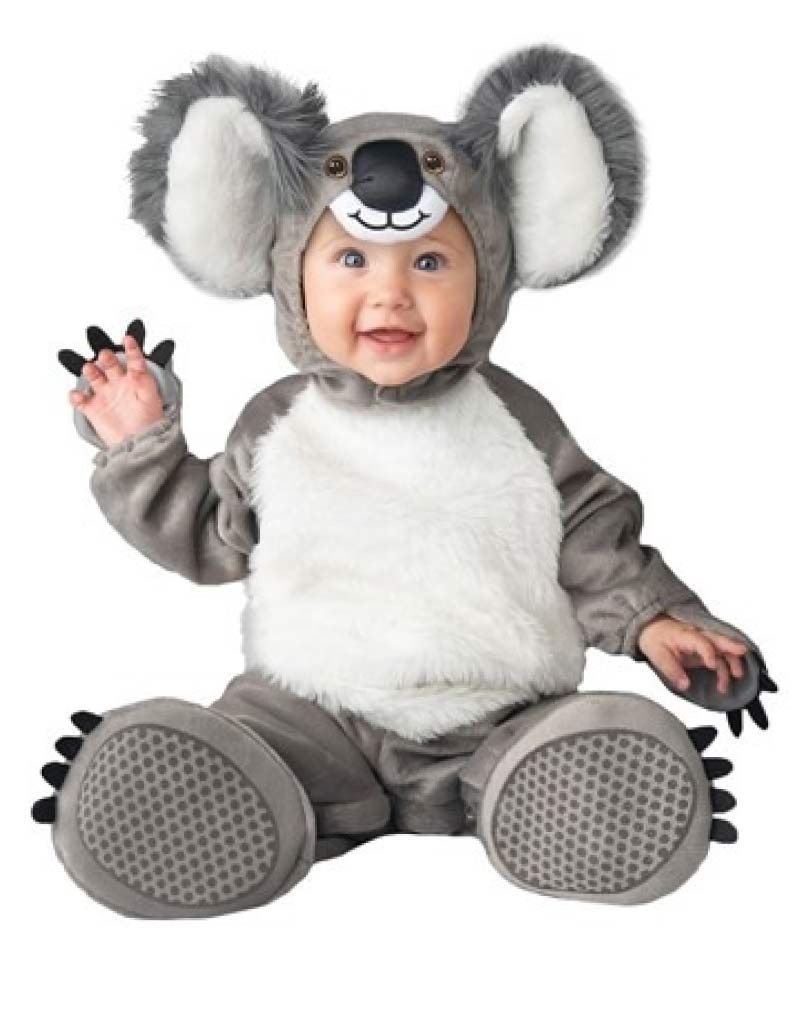 KOALA KUTIE