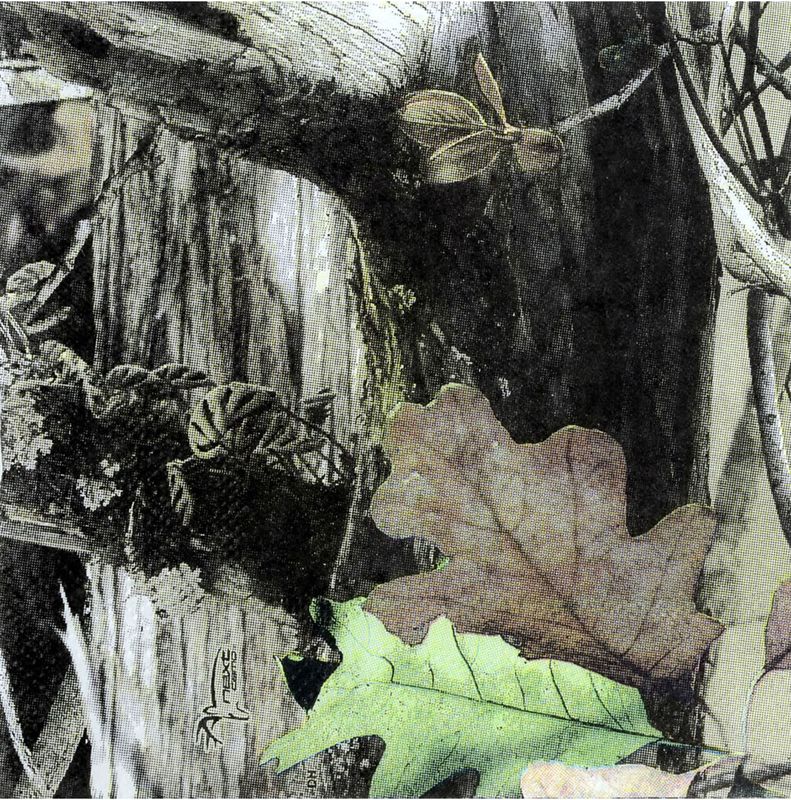 Next Camo Beverage Napkins - 16 Count