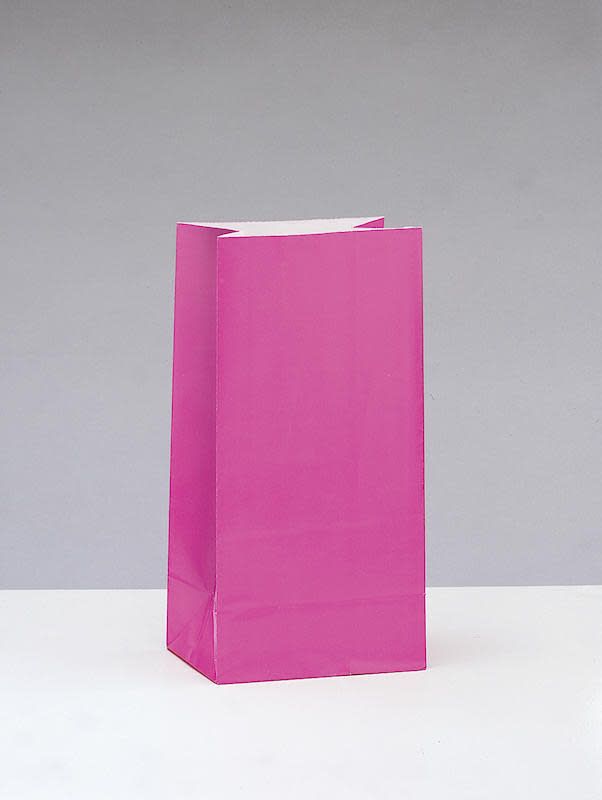 12CT PAPER BAG HOT PINK