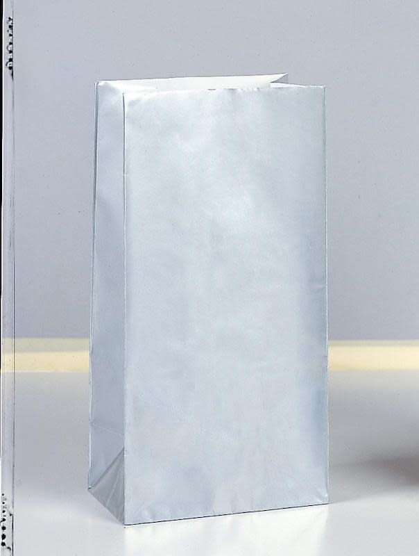 10CT PAPER BAG SILVER