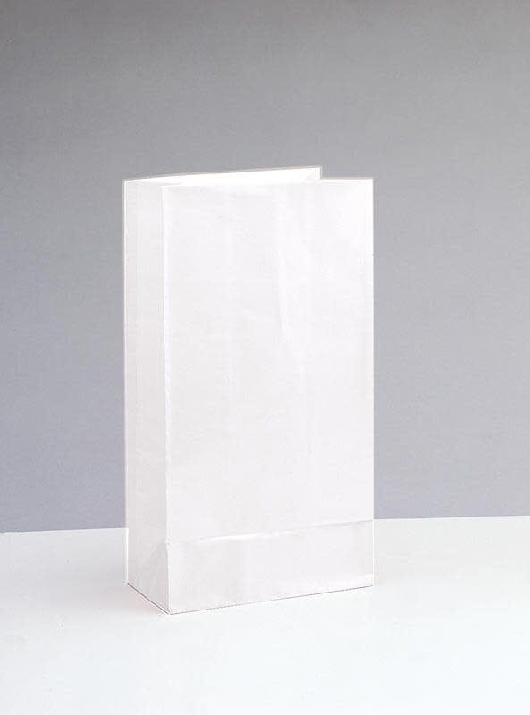 12CT PAPER BAG WHITE