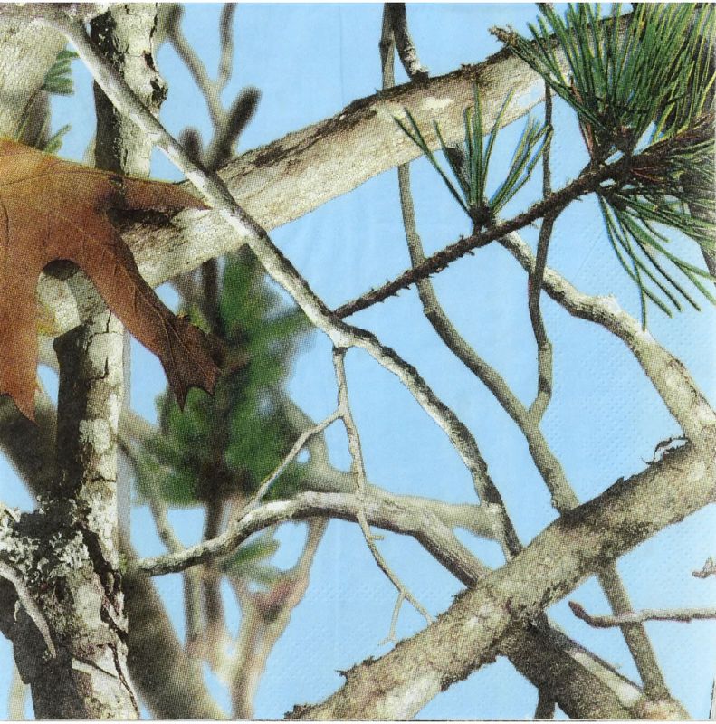 Next Camo Blue Luncheon Napkins -16 Count