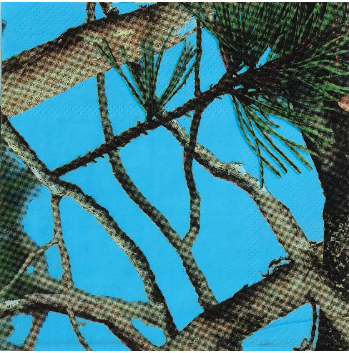 Next Camo Blue Beverage Napkins - 16 Count